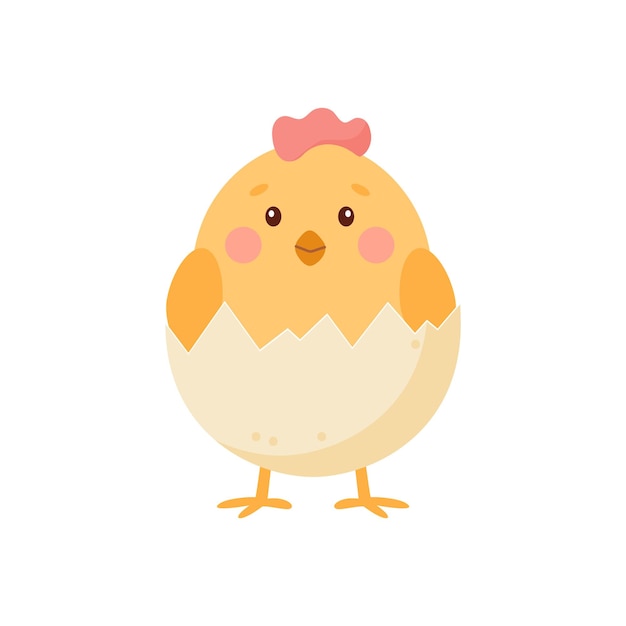 Un pollito lindo nacido de un huevo