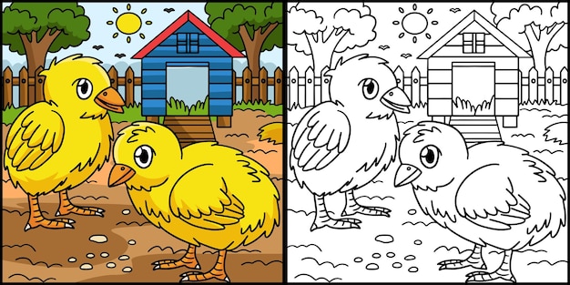 Pollito Página Para Colorear Ilustración Coloreada