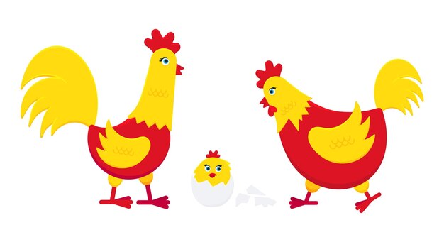 Pollo amarillo y rojo con huevo roto y una ilustración de vector de diseño de estilo plano de gallo gallo