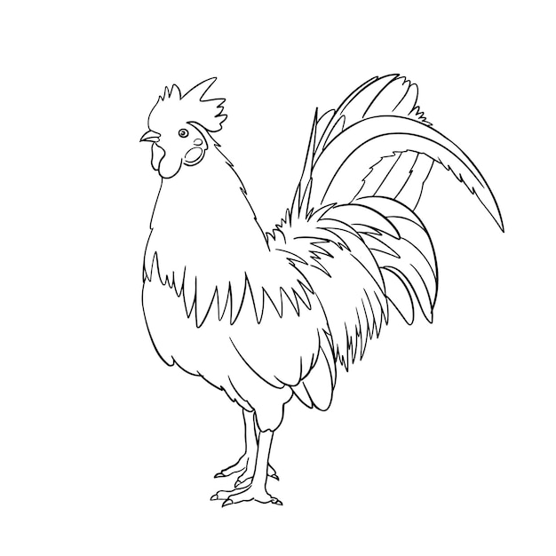 Pollo dibujado a mano