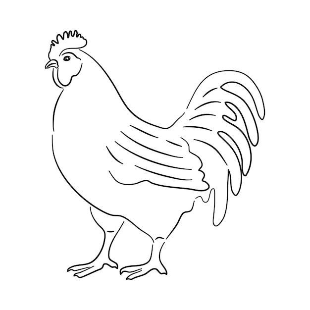 Pollo en estilo doodle Iconos boceto hecho a mano Vector