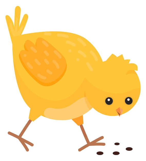 El pollo lindo come semillas el pájaro bebé gracioso