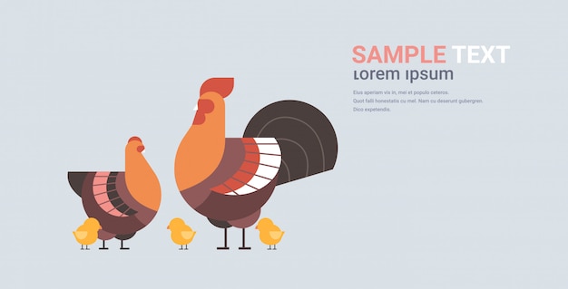 Pollo lindo gallina de dibujos animados de familia gallina y pollo aves domésticas animales concepto de granja avícola