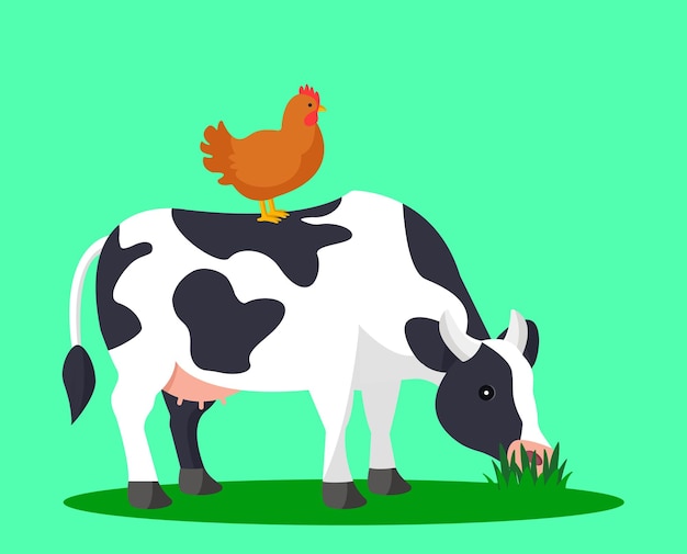 El pollo de pie sobre una vaca Situación divertida Ilustración vectorial sobre un fondo verde