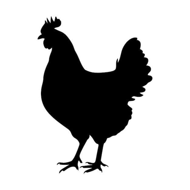 Vector pollo de silueta sólo de color negro