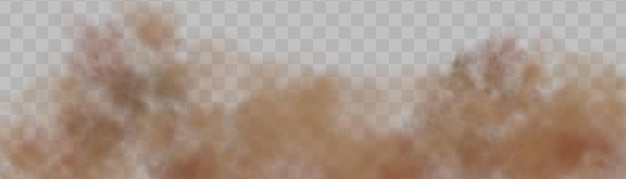 Polvo aislado vector realista sobre un fondo transparente