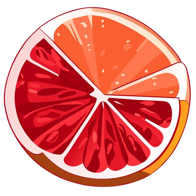 Vector pomelo dibujado a mano dibujos animados pegatina icono concepto aislado ilustración