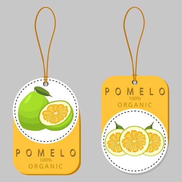 Vector pomelo dulce, jugoso y sabroso, producto ecológico natural