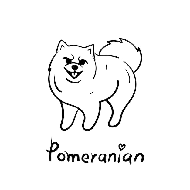 Pomerania spitz ilustración lineal Arte vectorial