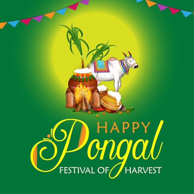 Pongal Makar Sankranti. ¡Feliz Sankranti! ¿Cuál es su nombre?