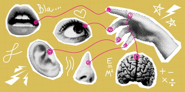 pop art collage of human senses lip eye ear nose brain and hand Perfect for educational artistic