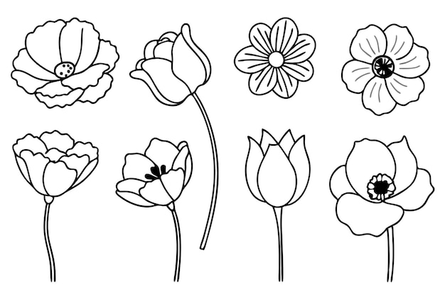 Poppy Line Art dibuja impresionantes diseños florales