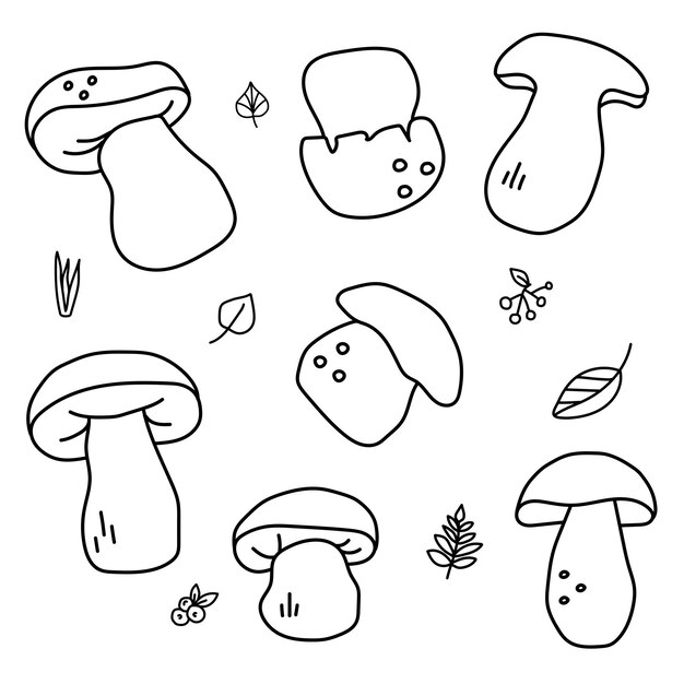 Porcini configurado en estilo doodle Vector aislado en fondo blanco