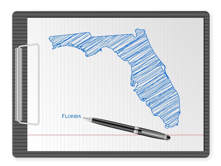 Vector portapapeles florida mapa