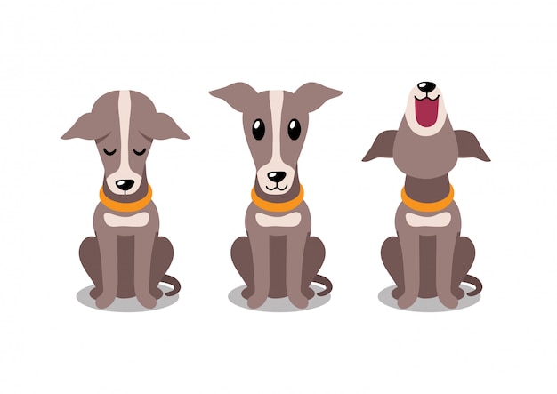 poses de perro galgo de personaje de dibujos animados
