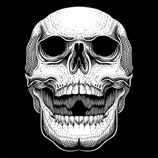 Posición del cráneo hacia arriba ilustración vectorial