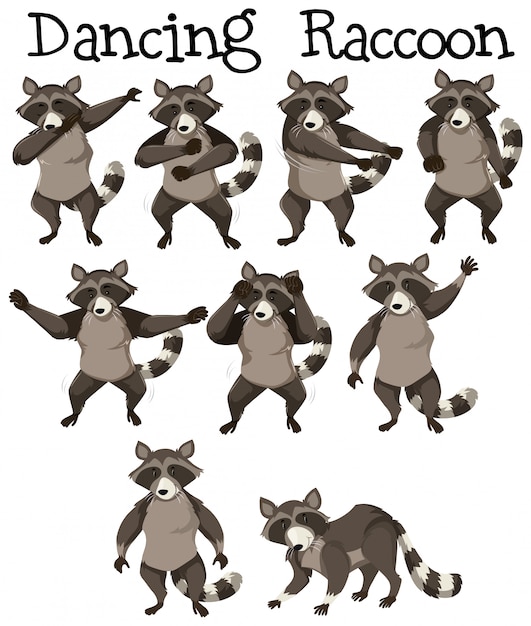 Posición de la danza del personaje del mapache