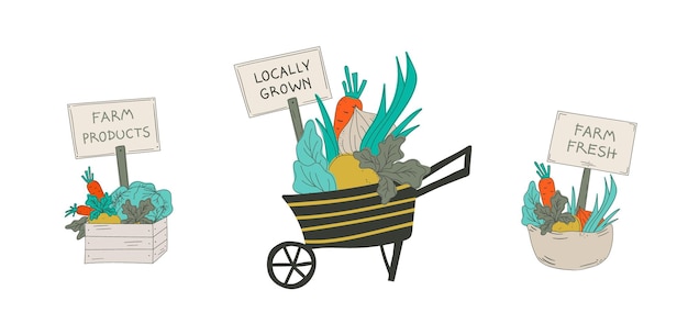 Poster de la cosecha local del mercado de agricultores