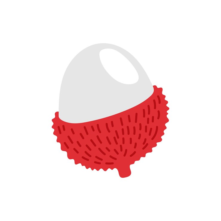 Vector postre tropical de rambután de dibujos animados de frutas litchi