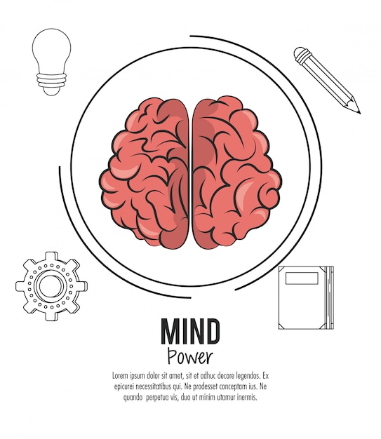 Potencia mental y plantilla cerebral