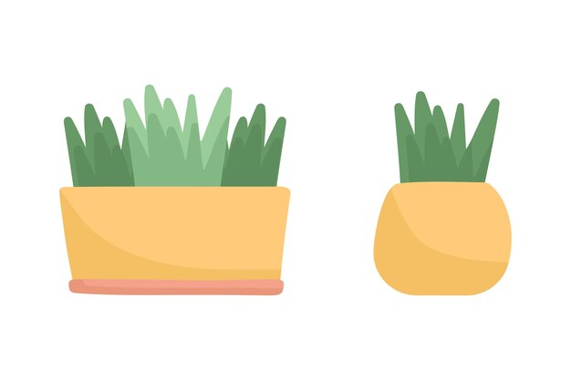 Vector potes con ilustración vectorial de plantas en estilo doodle