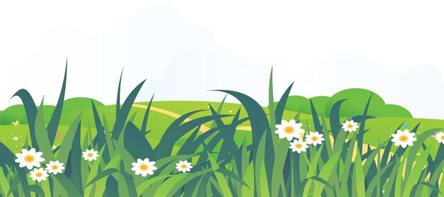 Prado de primavera con margaritas hierba verde fresca y flores
