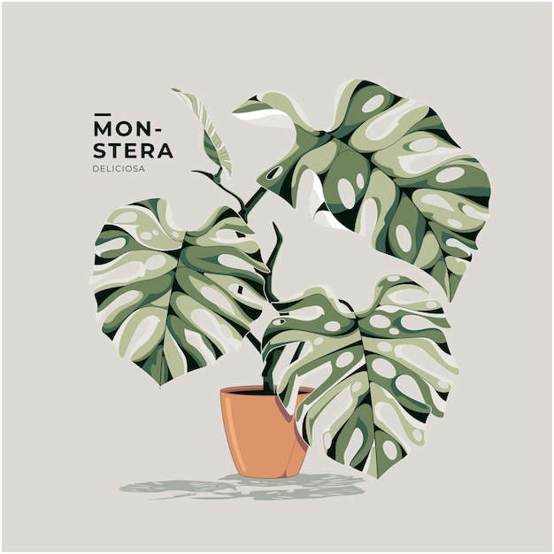 Vector precioso fondo de ilustración de monstera deliciosa