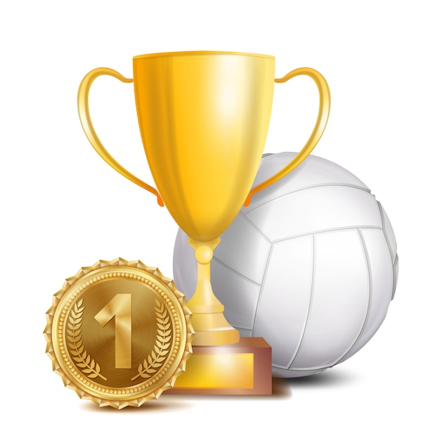 Premio de voleibol