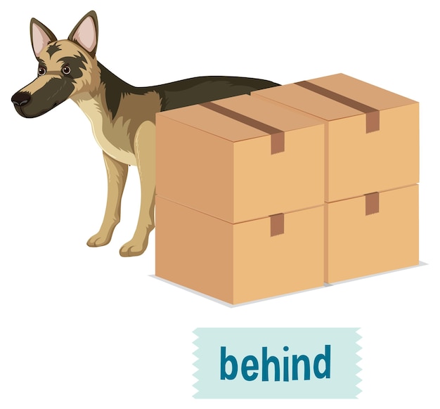 Preposición de lugar con perro de dibujos animados y una caja.