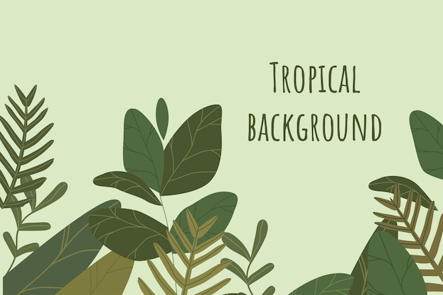 Presentación Fondo con planta de hojas tropicales en diseño vectorial de fondo verde
