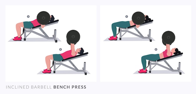 Vector press de banca con barra inclinada, fitness para hombres y mujeres, ejercicios aeróbicos y ejercicios.