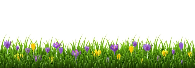 La primavera y la hierba con flores