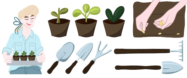 Primavera en el jardín Plántulas en macetas Plantas caseras Plantas de cultivo a partir de semillas.