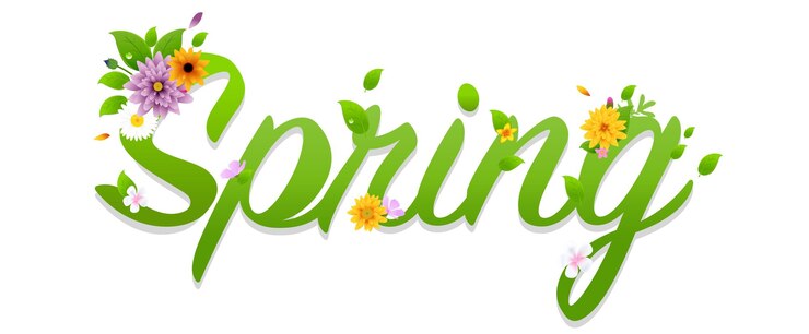 Vector primavera texto aislado sobre fondo blanco
