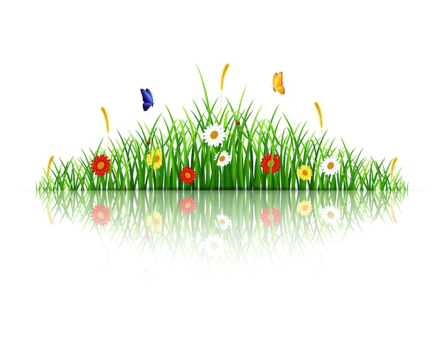 Primavera verde hierba con flores y mariposas