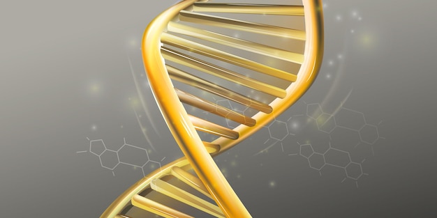 Vector primer plano de la estructura de doble hélice dorada del adn