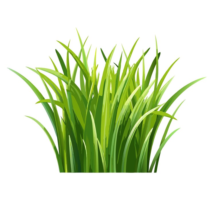Vector primer plano de hierba verde vibrante con varias hojas