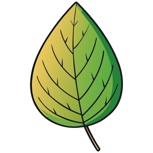 Un primer plano de una hoja verde vibrante con tonos amarillos y venas detalladas