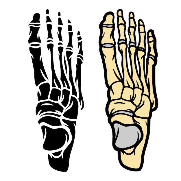 Un primer plano de un par de huesos con una mano en uno de ellos
