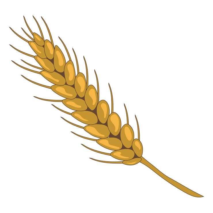 Vector un primer plano de un solo tallo de trigo que muestra sus granos dorados y su delicada textura el tallo es un símbolo de la cosecha abundante