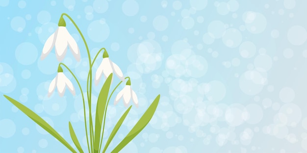 primeras flores de primavera gotas de nieve en un fondo azul lugar para tarjeta postal vectorial de texto