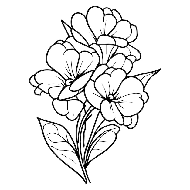 prímula flor para colorear prímula flor tatuaje diseños delicado prímula tatuaje pared impresión