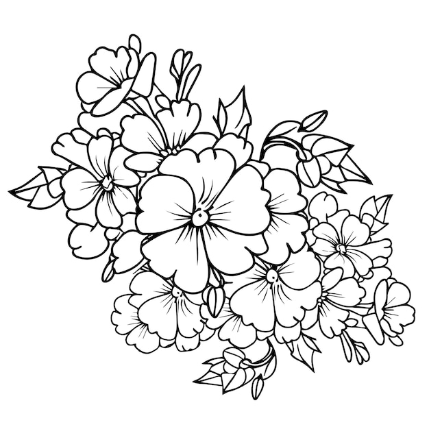 prímula flor página para colorear onagra dibujo ilustración prímula dibujo fácil