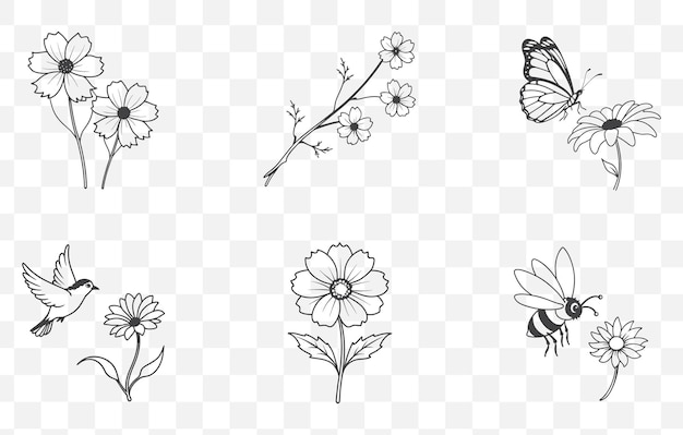 Print Coreopsis Flower Line Art Vector Set Elegantes ilustraciones florales para el diseño y la decoración