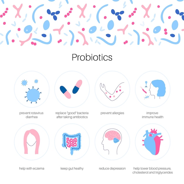 Probióticos. bacterias patógenas y beneficiosas más comunes. ilustración de vector de microbiota intestinal humana