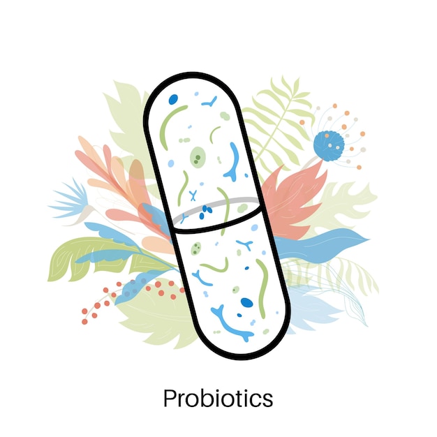 Probióticos. Bacterias patógenas y beneficiosas más comunes. Ilustración de vector de microbiota intestinal humana