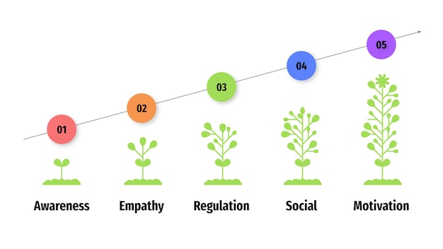 Proceso de inteligencia emocional