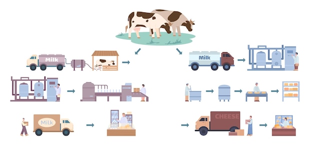 Vector proceso de producción de queso y leche en fábrica con trabajadores y equipos.