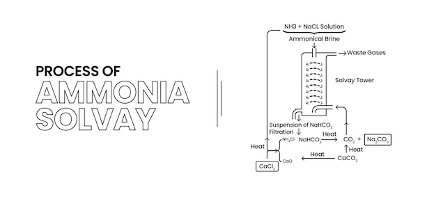 Vector proceso de solvado de amoníaco