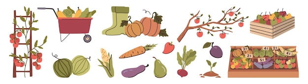 Producción agrícola ecológica de hortalizas y frutas